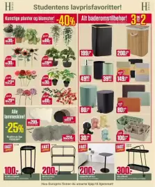 Europris kundeavis uke 34 Side 4: TRILLEBORD €300,00, Kunstige planter og blomster! €50,00
