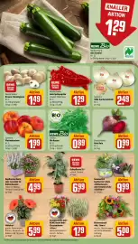 REWE Prospekt woche 34 Seite 9