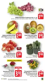 Edeka24 Prospekt woche 34 Seite 11