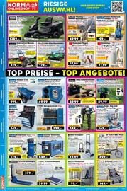 Norma Prospekt woche 35 Seite 18: Aluminium-Fliegen-gitter-Bausatz SLIM €17,99, Akku-Gehölzschneider Scheppach €89,99