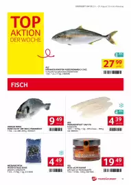Transgourmet Flugblatt woche 35 Seite 13