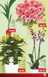 Catalog Kaufland săptămâna 34 Pagină 20