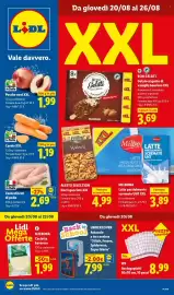 Volantino Lidl settimana 34 Pagina 1: Bon Gelati €3,69, Alesto Selection Noci sgusciate XXL €4,99