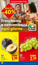 Volantino Lidl settimana 34 Pagina 4