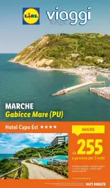 Volantino Lidl settimana 34 Pagina 46