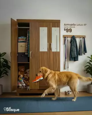 Muebles el Bosque (válido hasta 31-08)