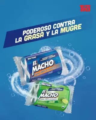 Catálogo Tia (válido hasta 31-08)