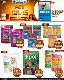Take 'n Pay catalogue week 34 Page 39: EPOL DOG FOOD ASSORTED €179,99, Pamper Cat Food Cuts in Gravy €21,99