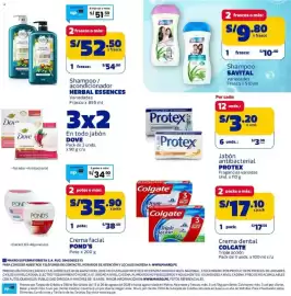 Catálogo Makro Página 5: Herbal Essences Shampoo / acondicionador €52,50, Protex jabón antibacterial €3,20