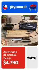Catálogo Lider Página 10: Accesorios de parrilla €4.790,00