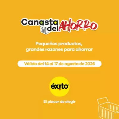 Éxito (válido hasta 17-08)