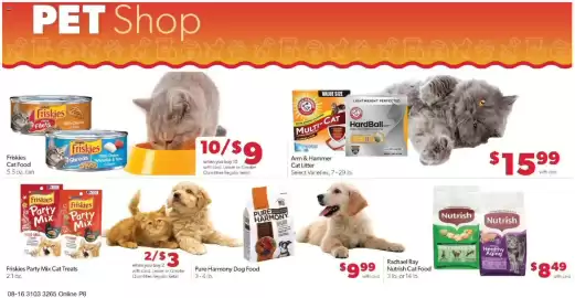 Family Fare weekly ad week 34 Page 13