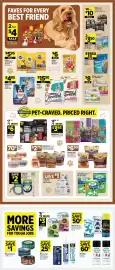 Dollar General weekly ad week 34 Page 10: Forever Pals Pet Bowls €5,25, Forever Pals Puppy Pads €13,25