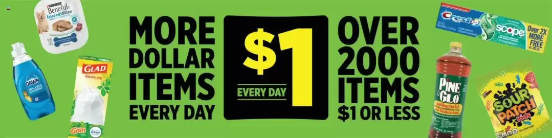 Dollar General weekly ad week 34 Page 2