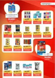 Catálogo Super Ganga Página 11: Virutex - gel €1.000,00, Purina - shampoo €990,00