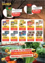 Catálogo Super Ganga Página 2: Valor - arvejas partidas €1.390,00, Platos ustopa €2.990,00