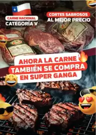 Catálogo Super Ganga Página 5