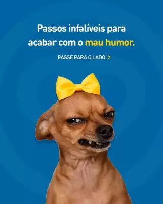 Agafarma (válido até 17-08)