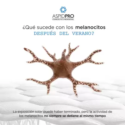 AspidPro (válido hasta 17-08)