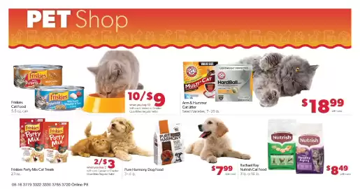 Family Fresh Market weekly ad week 34 Page 13: Friskies Cat Food €9,00, Arm & Hammer Cat Litter €18,99