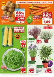 Kaufland gazetka Strona 3: Marchew młoda polska €1,89, Kukurydza polska €5,99