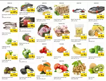 Nesto catalogue Page 2