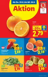 Lidl Flugblatt woche 34 Seite 40