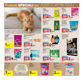 Volantino Carrefour Pagina 28: Crocchettini per Gatti Whiskas Junior €1,75, Tonno dell'artico Almo Nature €3,15