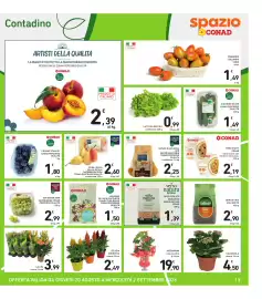 Volantino Spazio Conad Pagina 13: Julienne di pan di zucchero e radicchio rosso Conad Percorso Qualità €1,50