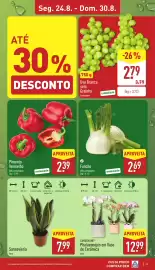 Folheto ALDI semana 35 Página 3: Funcho €2,69, Sansevieria Vaso €7,99