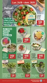 Folleto ALDI semana 35 Página 15: Dúo canónigo y rúcula €1,35, Brotes tiernos €1,69