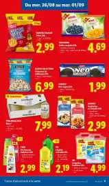 Lidl folder week 35 Pagina 11: Harvest basket french fries €2,99, Sondey gaufrettes ou biscuits xxl €2,99