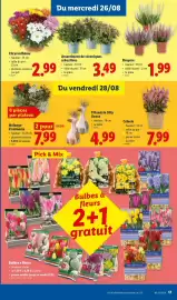 Lidl folder week 35 Pagina 17
