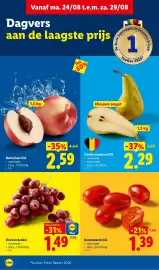 Lidl folder week 35 Pagina 2: Nectarines XXL €2,59, Conferenceperen xxl €2,29