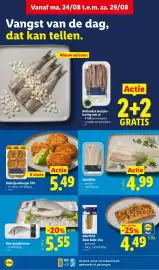 Lidl folder week 35 Pagina 7: Hollandse maatjes-haring met ui €1,99, Kabeljauwburger XXL €5,49