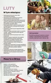Bricomarche gazetka Strona 101
