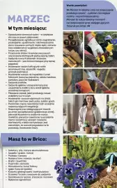 Bricomarche gazetka Strona 102