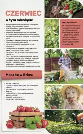 Bricomarche gazetka Strona 105