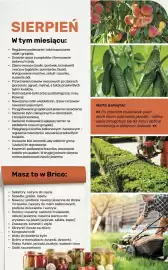 Bricomarche gazetka Strona 107