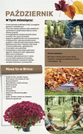 Bricomarche gazetka Strona 109