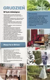 Bricomarche gazetka Strona 111