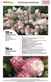 Bricomarche gazetka Strona 27