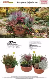 Bricomarche gazetka Strona 29