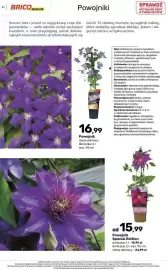 Bricomarche gazetka Strona 31