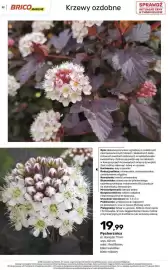 Bricomarche gazetka Strona 32