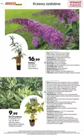 Bricomarche gazetka Strona 34