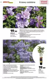 Bricomarche gazetka Strona 35
