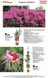 Bricomarche gazetka Strona 37