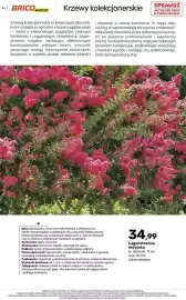 Bricomarche gazetka Strona 41