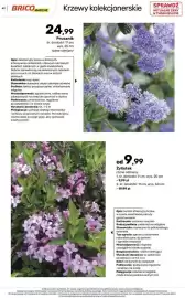 Bricomarche gazetka Strona 42